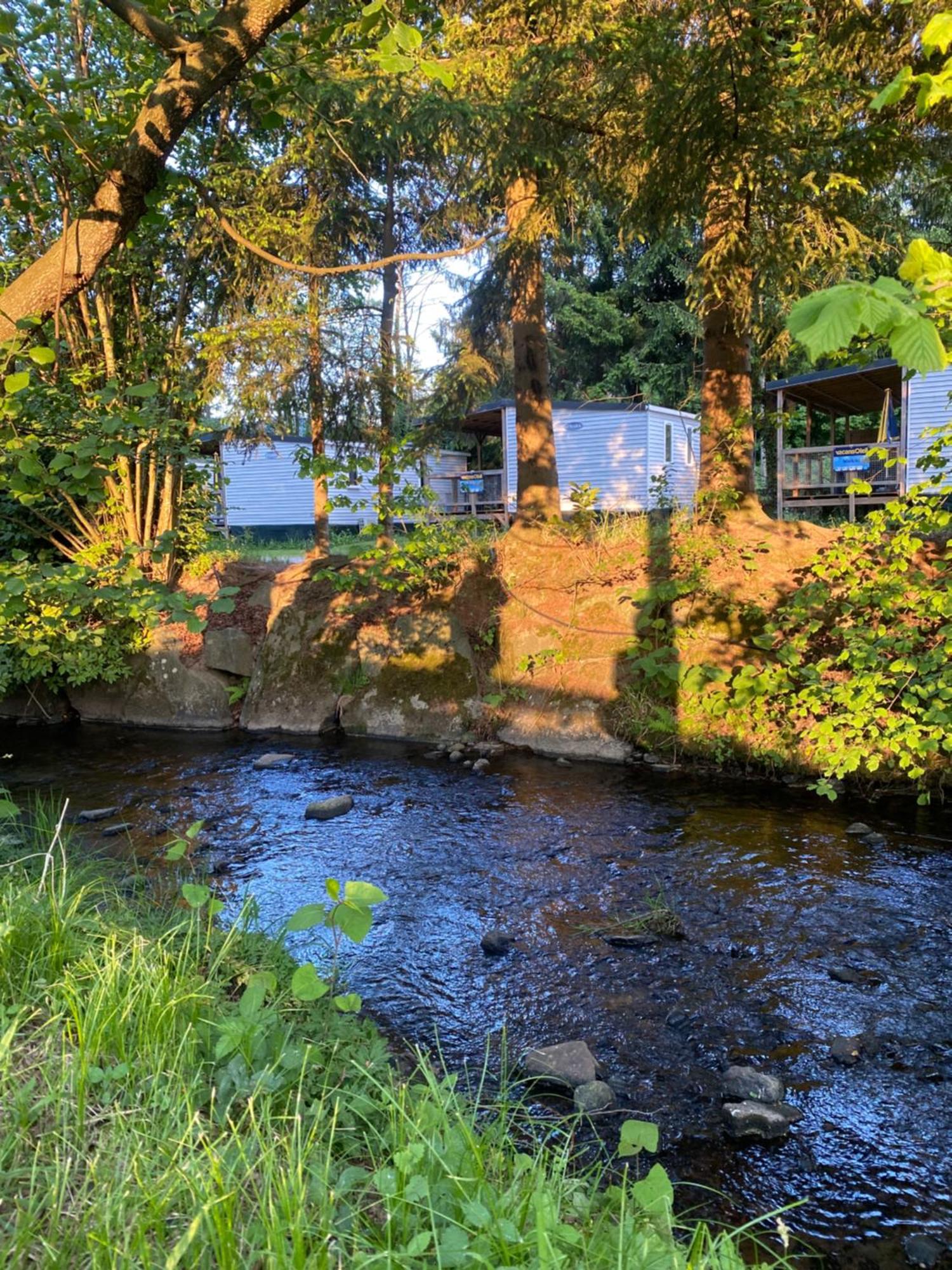 S-Chalet Camping Mit Comfort Im Schwarzwald Steinach  ภายนอก รูปภาพ